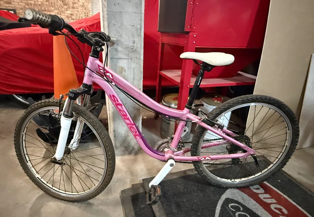 Pink Bicycle photo 2