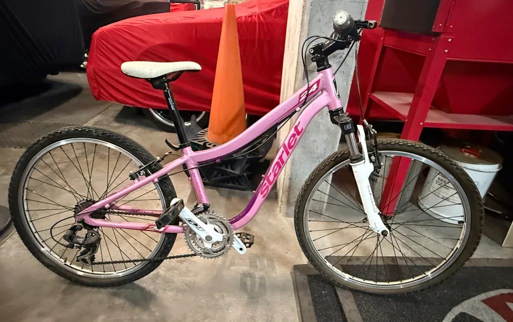 Pink Bicycle